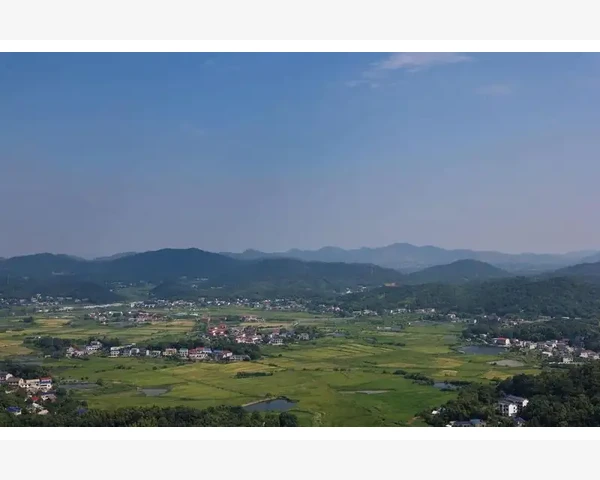 化痰止咳食谱——宝宝健康成长的秘诀